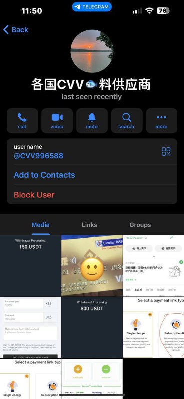 如何识别和避免网络诈骗骗局:以CVV供应商为例 如何识别和避免网络诈骗骗局:以CVV供应商为例