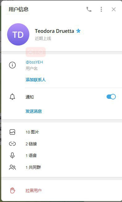 警惕诈骗事件:Teodora Druetta 及其虚假卖号账号 警惕诈骗事件:Teodora Druetta 及其虚假卖号账号