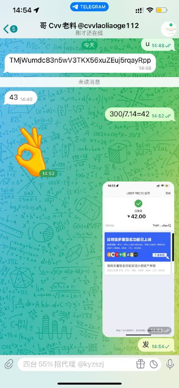 警惕网络诈骗:老歌cvv诈骗案例分析 警惕网络诈骗:老歌cvv诈骗案例分析