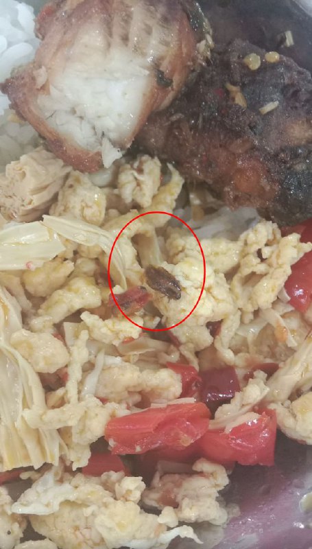 网友热议:五号地雍景台的黑暗料理何时能终结? 网友热议:五号地雍景台的黑暗料理何时能终结?