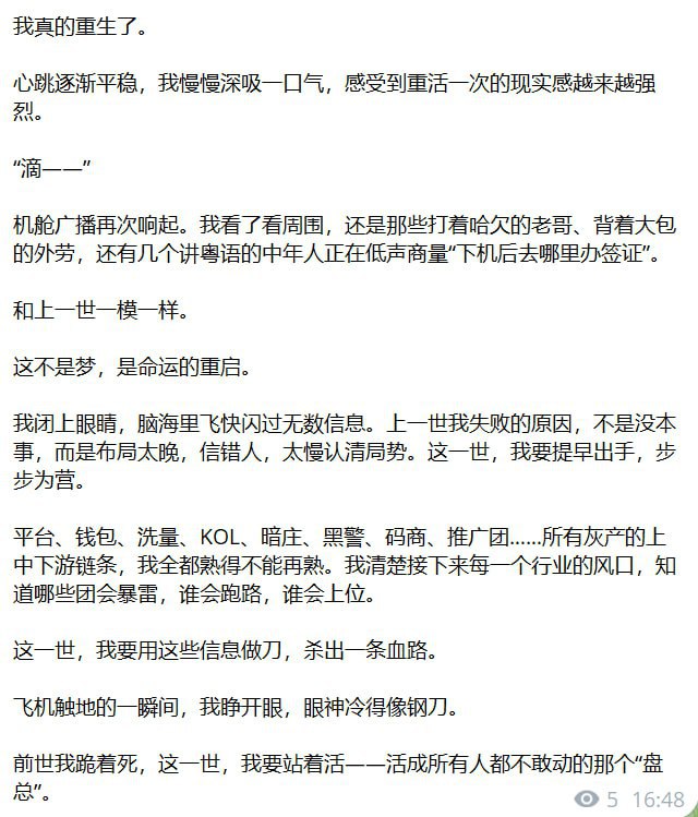 重生之我在东南亚的逆袭:从打工仔到盘总的传奇故事 重生之我在东南亚的逆袭:从打工仔到盘总的传奇故事
