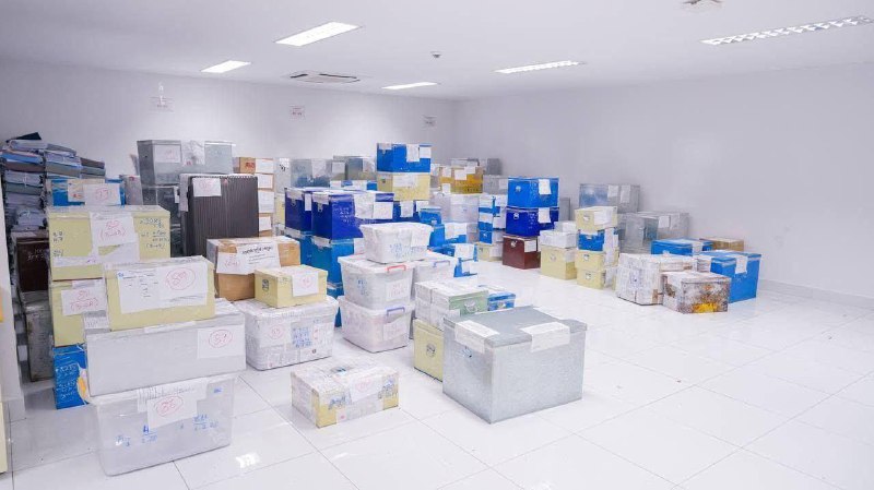 金边法院移交超5吨毒品,焚烧行动即将启动 金边法院移交超5吨毒品,焚烧行动即将启动