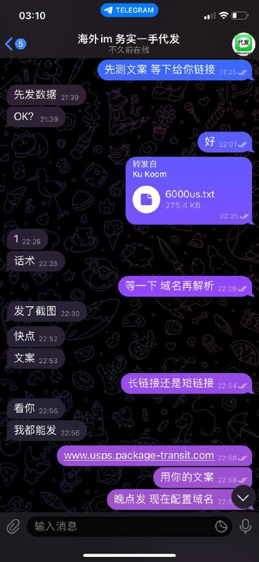 警惕海外IM诈骗:务实一手代发的骗局 警惕海外IM诈骗:务实一手代发的骗局