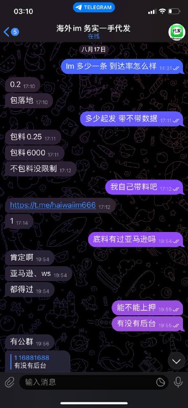 警惕海外IM诈骗:务实一手代发的骗局 警惕海外IM诈骗:务实一手代发的骗局