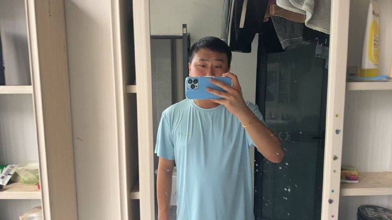 揭露林慧兰:违法行为及其背后的骗局 揭露林慧兰:违法行为及其背后的骗局