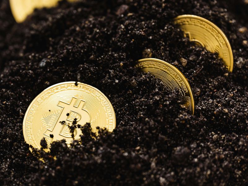 如何通过百家乐技巧赢得赌场游戏 | 白菜社区论坛推荐的策略 如何通过百家乐技巧赢得赌场游戏 | 白菜社区论坛推荐的策略