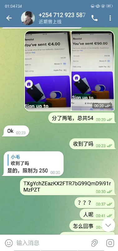 警惕网络诈骗:刁三和同步鱼的案例分析 警惕网络诈骗:刁三和同步鱼的案例分析