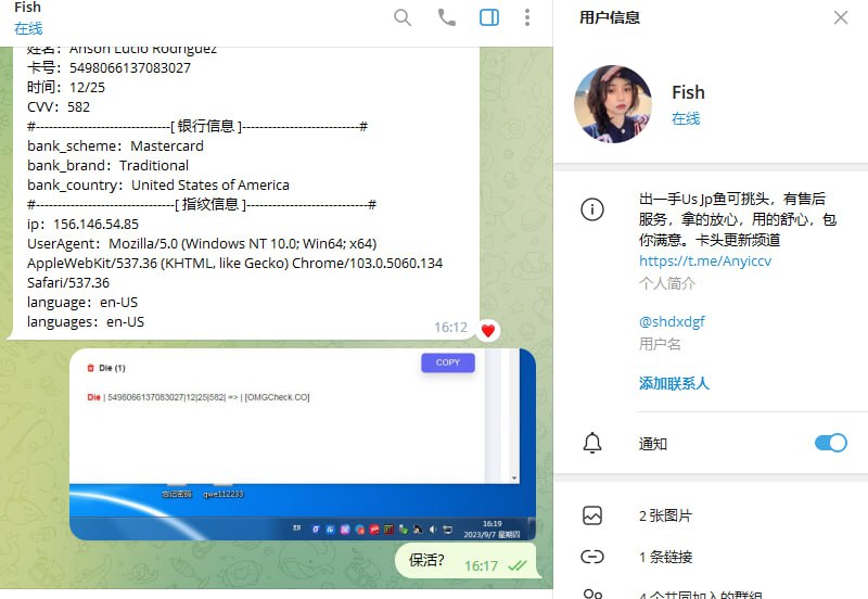 警惕网络诈骗:揭秘‘Fish’的诈骗手法 警惕网络诈骗:揭秘‘Fish’的诈骗手法