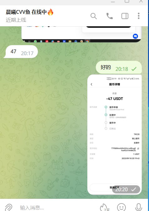 警惕网络诈骗:晨曦CVV鱼诈骗事件分析 警惕网络诈骗:晨曦CVV鱼诈骗事件分析