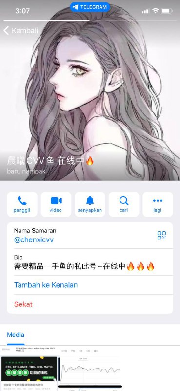 警惕在线诈骗:晨曦CVV鱼案例分析 警惕在线诈骗:晨曦CVV鱼案例分析