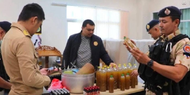 泰国政府加强毒品管控:聚焦大麻与卡痛叶 泰国政府加强毒品管控:聚焦大麻与卡痛叶