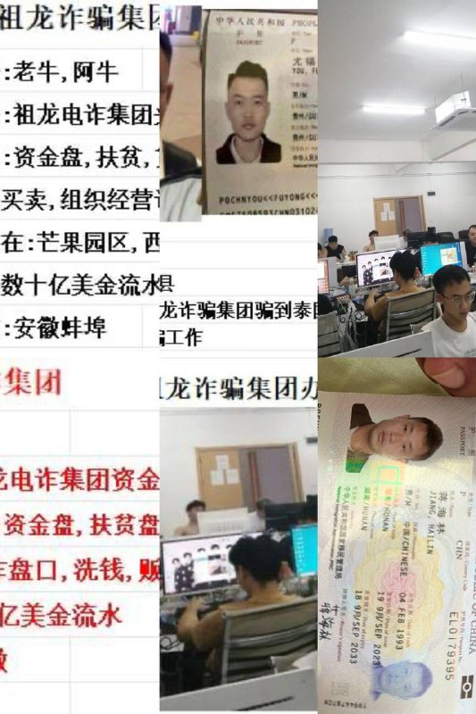 柬埔寨大规模电信诈骗集团曝光:涉足多种非法活动 柬埔寨大规模电信诈骗集团曝光:涉足多种非法活动