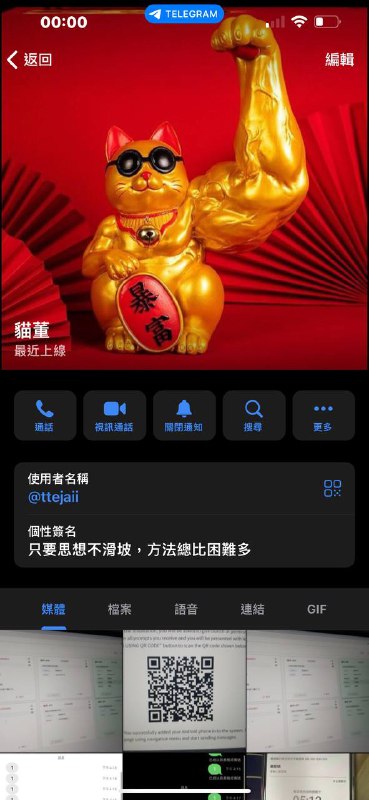 警惕網路詐騙:貓董及其詐騙行為分析 警惕網路詐騙:貓董及其詐騙行為分析