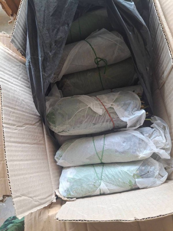 如何在泰国边境规避麻烦:网友分享经验 如何在泰国边境规避麻烦:网友分享经验