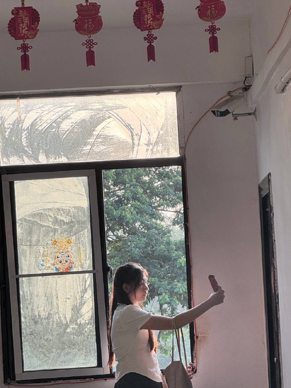 早间遇见可爱小紫:轻松捕捉生活中的美好瞬间 早间遇见可爱小紫:轻松捕捉生活中的美好瞬间