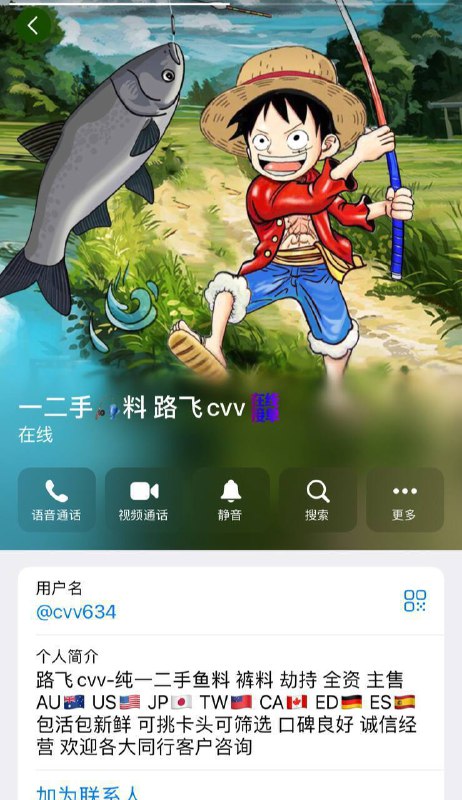 警惕网络诈骗:一二手料路飞CVV骗局分析 警惕网络诈骗:一二手料路飞CVV骗局分析