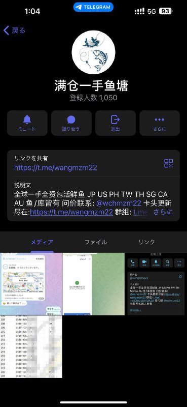 如何识别和防范网络诈骗:满仓一手同步案例分析 如何识别和防范网络诈骗:满仓一手同步案例分析