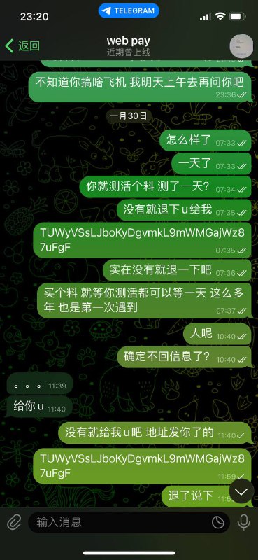 警惕诈骗行为:Web Pay 诈骗警示 警惕诈骗行为:Web Pay 诈骗警示