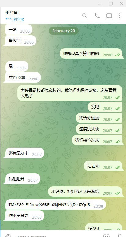 警惕诈骗:小乌龟诈骗账号揭秘 警惕诈骗:小乌龟诈骗账号揭秘