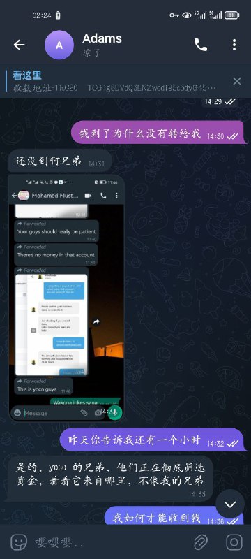 警惕诈骗行为:Adams的案例分析 警惕诈骗行为:Adams的案例分析
