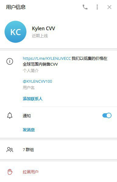 警惕诈骗案例:Kylen CVV 及其诈骗手法揭露 警惕诈骗案例:Kylen CVV 及其诈骗手法揭露