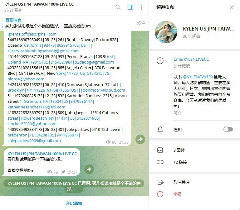 警惕诈骗案例:Kylen CVV 及其诈骗手法揭露 警惕诈骗案例:Kylen CVV 及其诈骗手法揭露