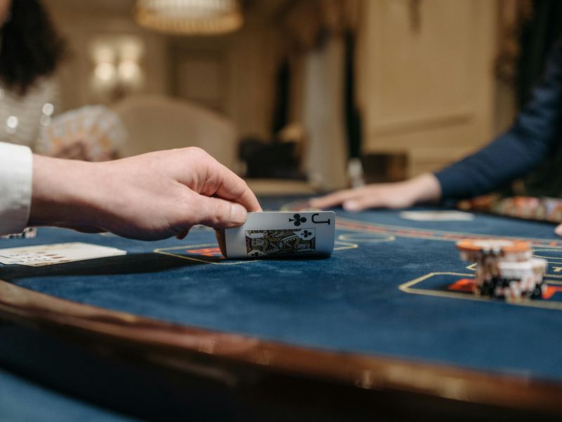 白菜社区大佬发帖精选 白菜社区大佬发帖精选