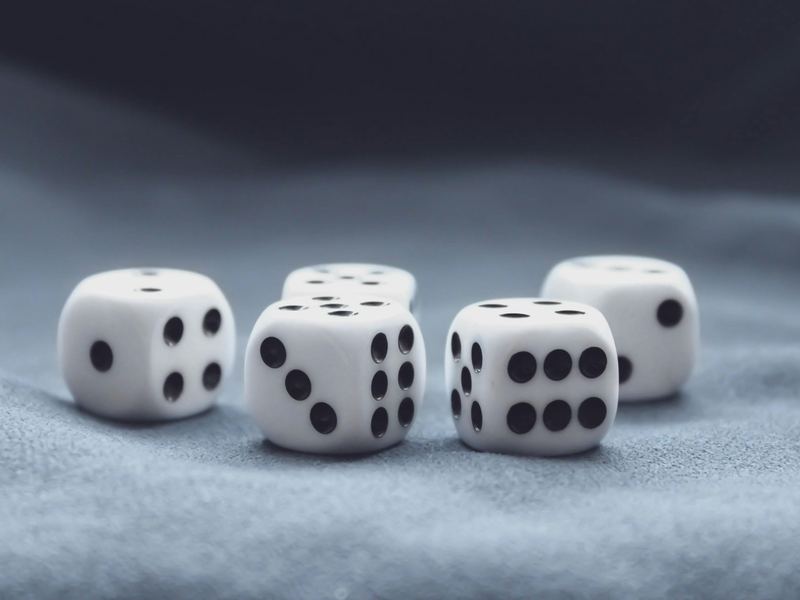 白菜社区新人该避免的坑 白菜社区新人该避免的坑